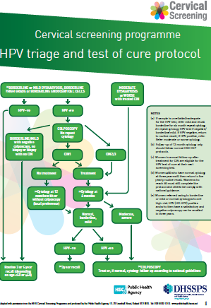 Racgp Hpv Testing In The National Cervical Screening